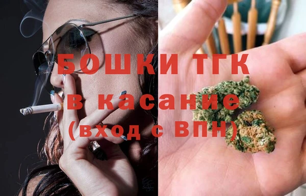 сатива Баксан