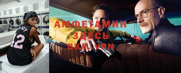 сатива Баксан