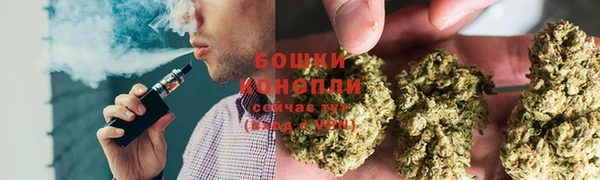 сатива Баксан